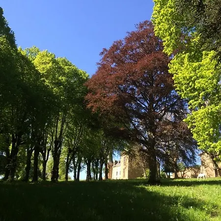 Chateau De La Forie *