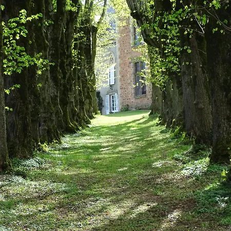 Chateau De La Forie Bed and breakfast Saint-Etienne-sur-Usson