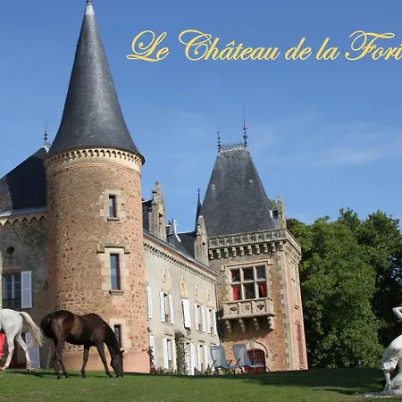 Chateau De La Forie * Saint-Etienne-sur-Usson